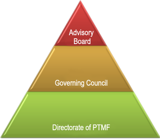 Org Structure
